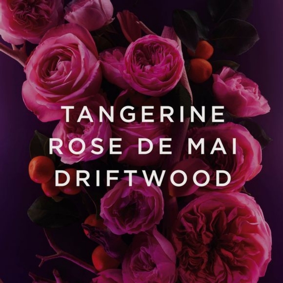 Haiku Sacred Intense - Picture 2 of 6